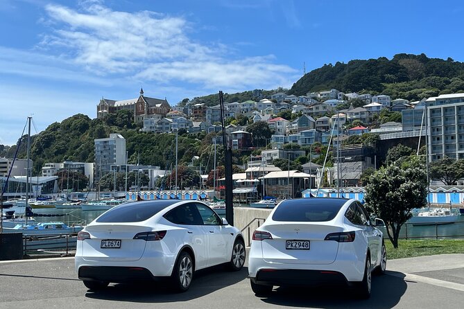 Wellington Private Tandem Tesla Tour - Safety Measures and Guidelines