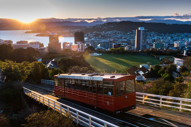 Wellington Shore Excursion: From Cave to Coast Highlights Private Tour - Sum Up