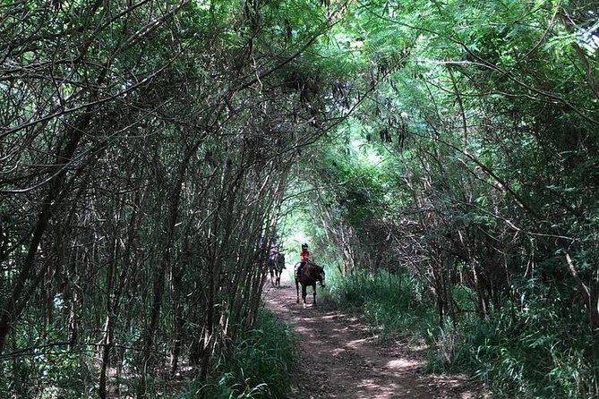 West Maui Mountain Waterfall and Ocean Tour via Horseback - Pricing & Policies