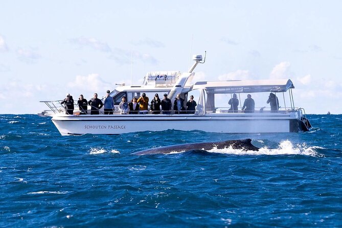 Whale Watching Boat Trip in Sydney - Weather Considerations