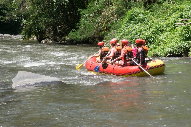 White Water Rafting in Bali - Safety Guidelines