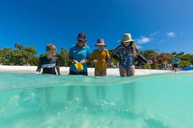 Whitehaven Beach and Hamilton Island Cruise From Airlie Beach - Contact Information