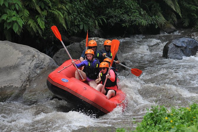 Whitewater Rafting Ayung River With Return Transfer in Ubud Bali - Customer Support and Assistance