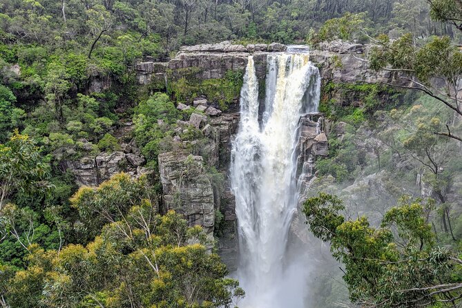 Wild Wombat and Kangaroo Day Tour From Sydney - Sum Up