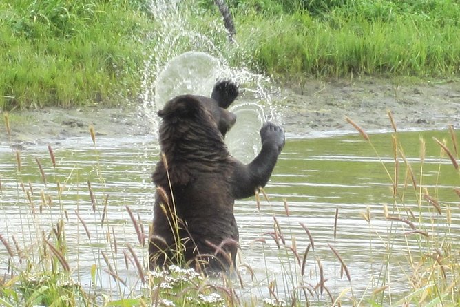 Wildlife and Glaciers With a Walk in the Rainforest - Common questions