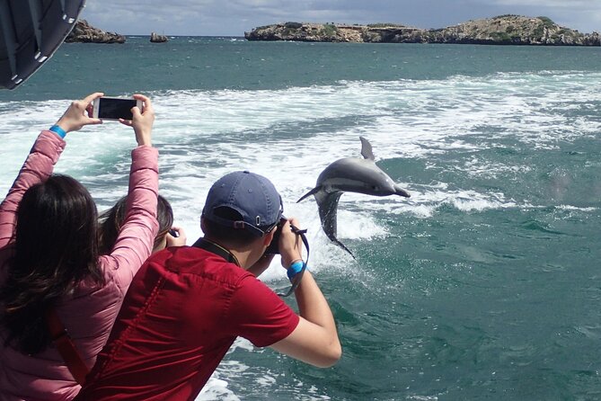 Wildlife Cruise of Shoalwater Islands With Penguin Feeding  - Perth - Additional Resources