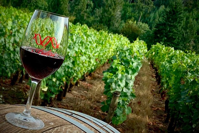 Willamette Valley Wine Tour From Portland (Tasting Fees Included) - Sum Up