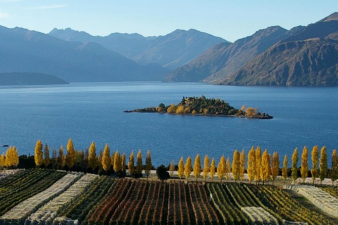 Wine Tour With Wine Tasting From Wanaka - Sum Up