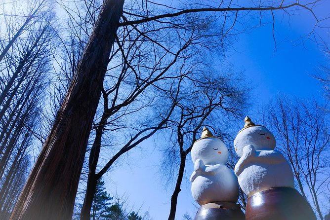 Winter Fun at Vivaldi Ski Resort With Romantic Winter Scenery at Nami Island - Common questions