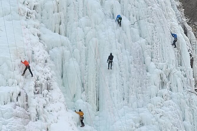 Wondae-ri Birch Forest and In-je Maebawi Icewall Full Day Tour - Weather Considerations