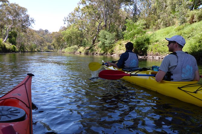 Yarra River Kayak Hire - Common questions