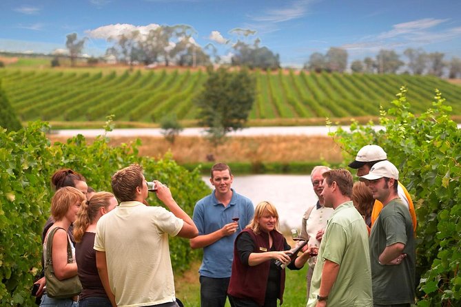Yarra Valley Wine and Winery Tour From Melbourne - Tour Pricing and Details