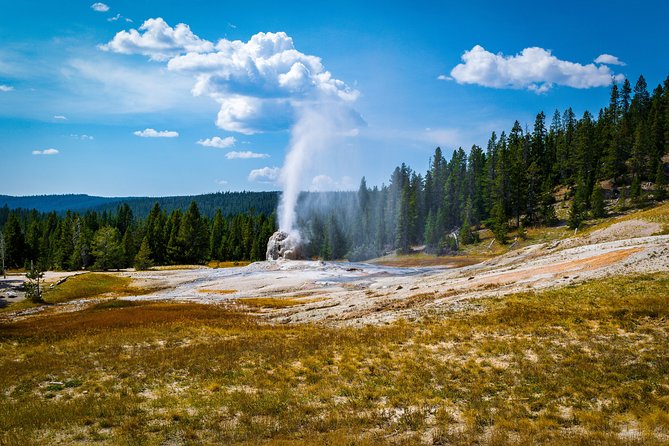 Yellowstone Full Day Private Tour - Common questions