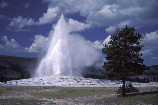 Yellowstone Lower Loop Full-Day Tour - Wildlife Sightings and Photography