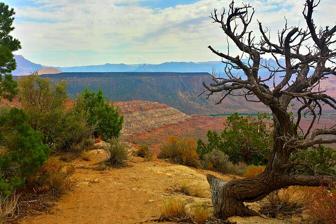 Zion Jeep Tour Premium Package - Morning Tour - Safety Precautions