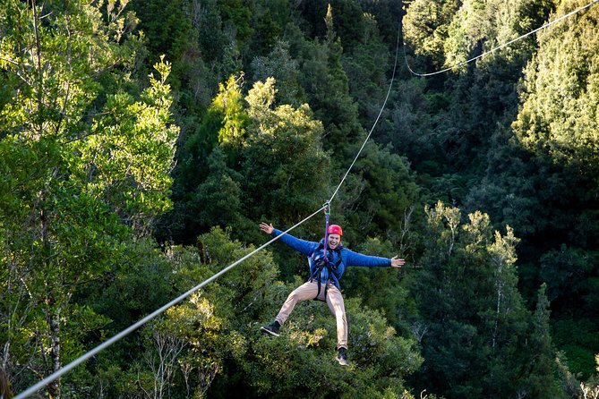 Ziplining Forest Experience - The Ultimate Canopy Tour Rotorua - Customer Recommendations and Feedback
