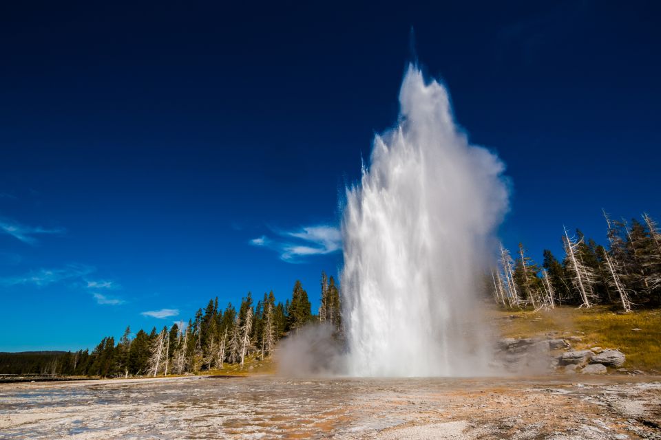 7-Day Yellowstone National Park Rocky Mountain Explorer