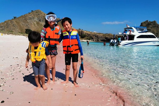 1 Day Komodo Trip By Shared Luxury Fast Boat - Sum Up