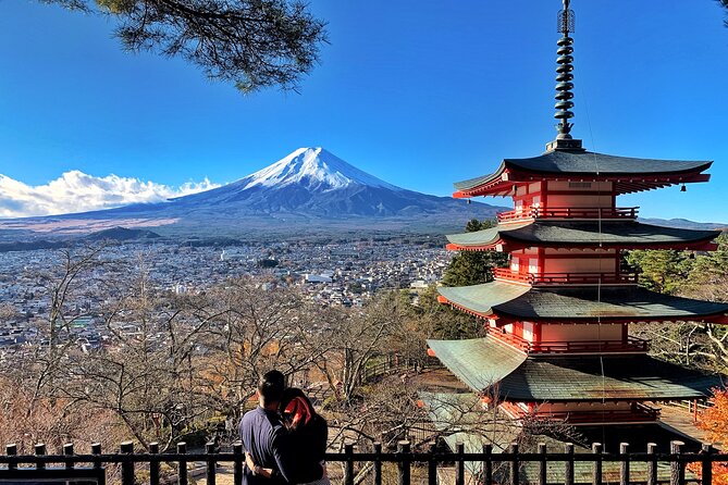 1 Day Private Tour in Mt.Fuji and Hakone English Speaking Driver - Additional Information