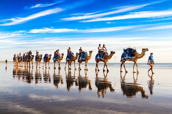 1 Hour Broome Sunset Camel Tour - Viator Support and Booking