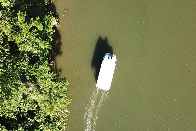 1-Hour Daintree River Wildlife Cruise - Sum Up