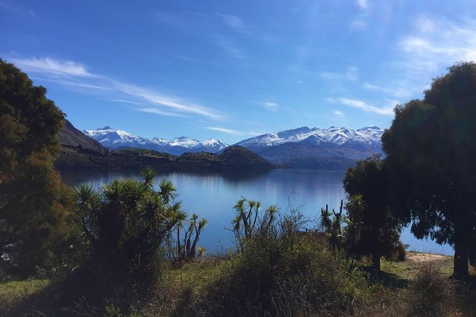 1-Hour Ruby Island Cruise and Walk From Wanaka - Common questions