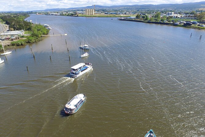 2.5 Hour Morning Discovery Cruise Including Sailing Into the Cataract Gorge - Sum Up