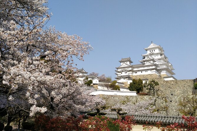 2.5 Hour Private History and Culture Tour in Himeji Castle - Cancellation and Refund Policy