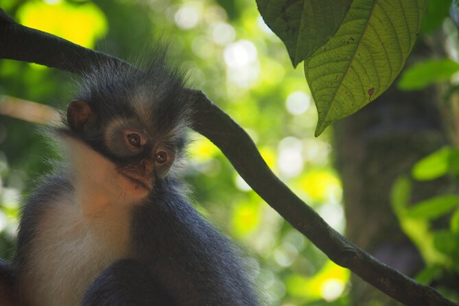 2-Day Jungle Trekking & Rafting in North Sumatra - Sum Up