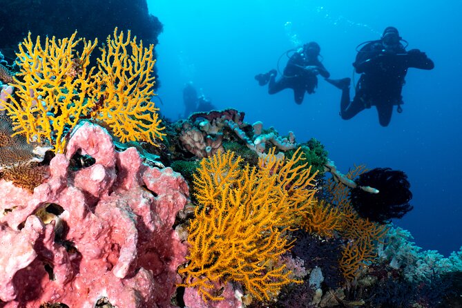 2 Days & 1 Night - 2 Dives in Lembongan/Penida (For Certified Divers) - Common questions