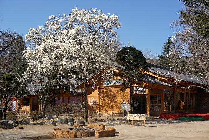 2 Days Private Tour : Mt Seorak & Naksansa Temple & Nami Island From Seoul - Pricing and Booking