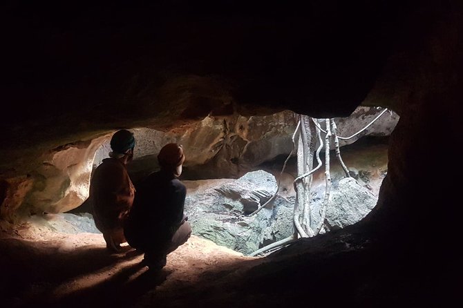 2-Hour Capricorn Caves Adventure Caving Excursion  - Queensland - Common questions