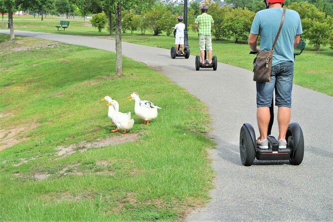 2-Hour Guided Segway Tour of Huntington Beach State Park in Myrtle Beach - Common questions