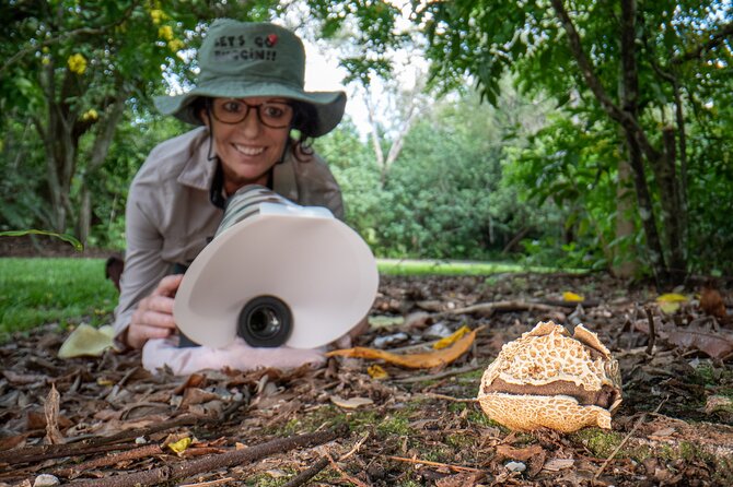 2-Hour Mushroom Photography Activity in Cairns Botanic Gardens - Directions and Meeting Point