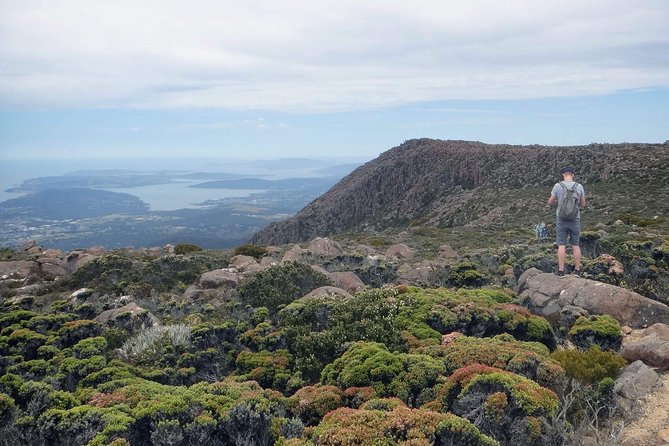 2-Hour Return Kunanyi/Mt Wellington Explorer Bus - Common questions