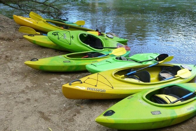 2-Hour Waikato River Guided Kayak Trip From Taupo - Sum Up