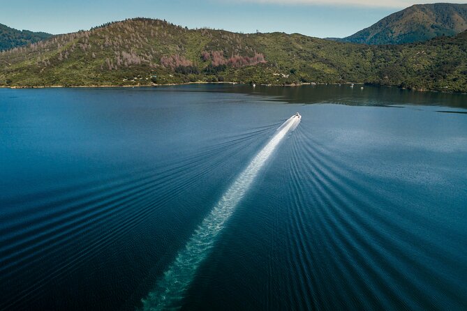 3.5 Hour Marlborough Sounds Delivery Cruise - Sum Up