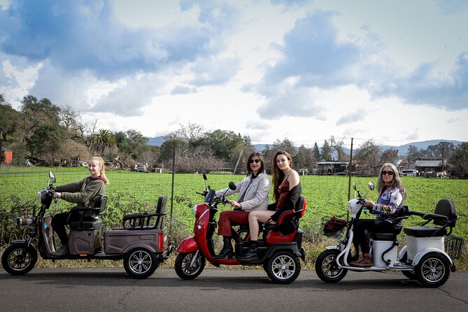 3-Hour Guided Wine Country Tour in Sonoma on Electric Trike - Key Points