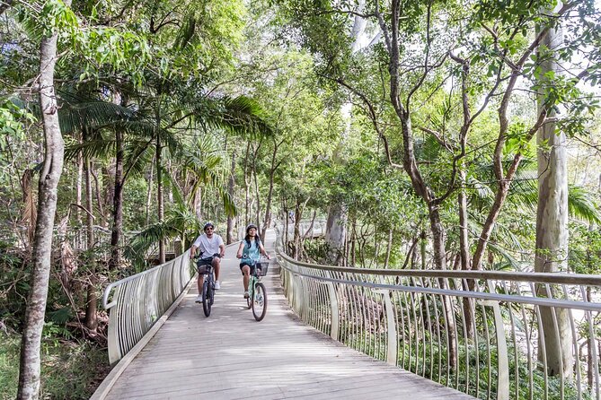 3-Hour Noosa Explorer E-Bike Tour - Tour Sum Up