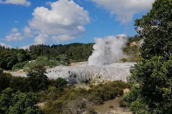 4-Day Wellington to Auckland via Rotorua Tour - Sum Up