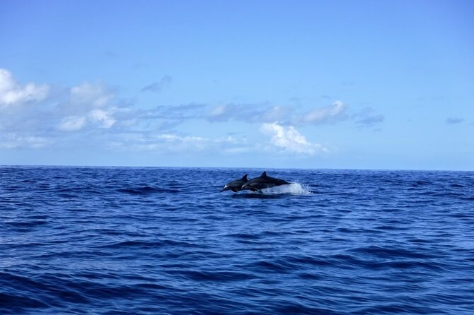 4-hour Kailua-Kona Ocean Kayak and Snorkel Tour - Sum Up