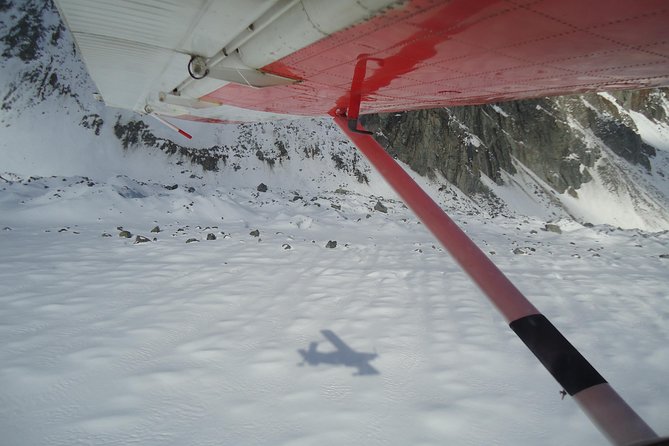 45-Minute Glacier Highlights Ski Plane Tour From Mount Cook - Sum Up