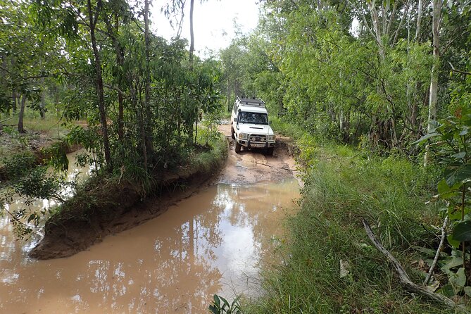 6-Day Best of Cairns Including the Great Barrier Reef, Kuranda and the Daintree Rainforest - Customer Reviews