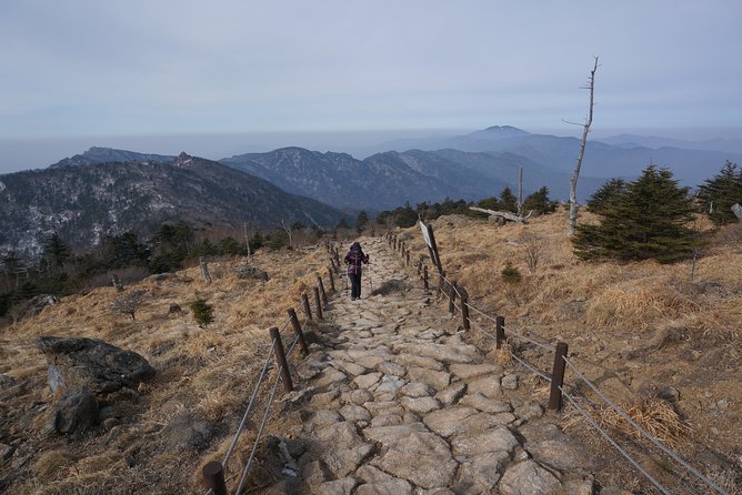 [8-days] Conquering the Korean Peninsula & Jirisan National Park Hiking - Common questions