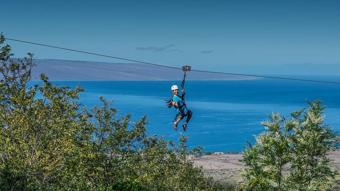 8 Line Kaanapali Zipline Adventure on Maui - Recommendations and Celebrations