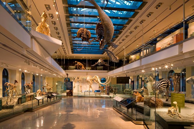 Admission: Natural History Museum of Los Angeles County - Family-Friendly Experience Highlights