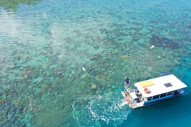 Airlie Beach Glass Bottom Boat Tour - Host Responses and Experiences