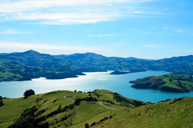 Akaroa Eco-Safari With Alpaca Farm Tour and Wine Tasting - Important Details