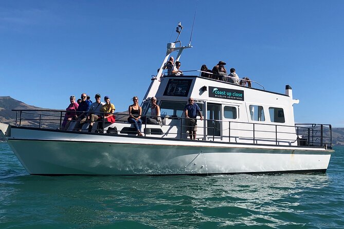 Akaroa Wildlife Cruise - Sum Up