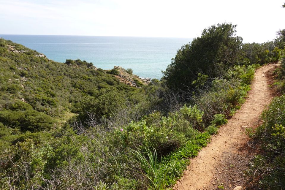 Algarve: Guided WALK in the Natural Park South Coast - Common questions